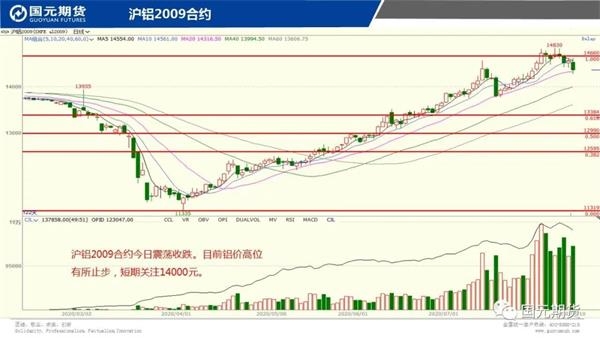 直播带货培训机构最新走势与趋势预测