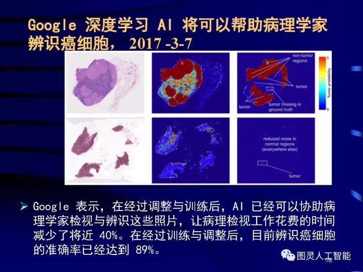 ai最新动态与发展展望