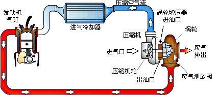 传动件与安全阀需要定期排放吗为什么