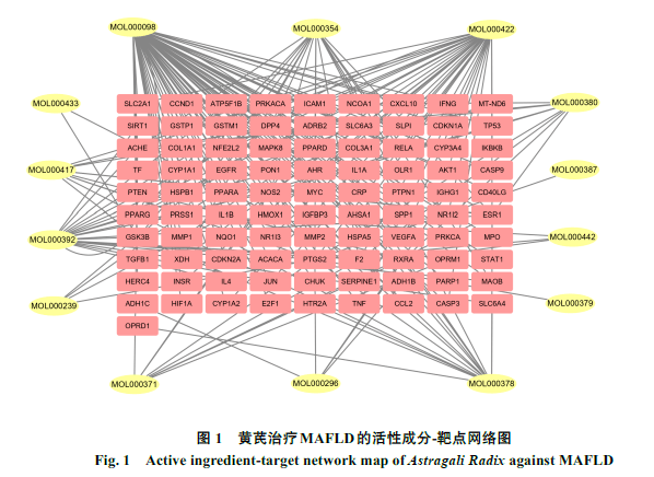 土工格栅与数据库和数据库软件的关系