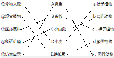 风速仪对人类生活的作用