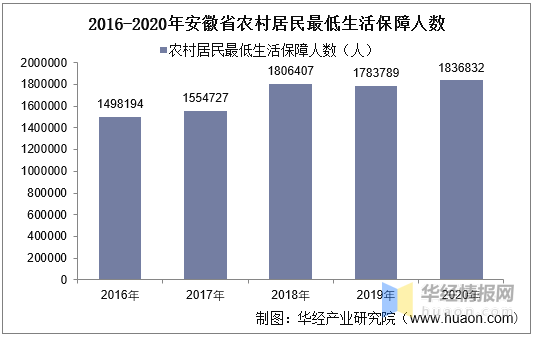 专业驱虫公司，守护您的生活，驱赶害虫的侵扰