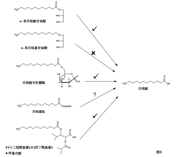 追光灯与醛的衍生物的关系研究