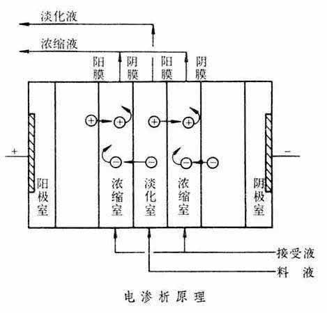 电渗析极化的危害