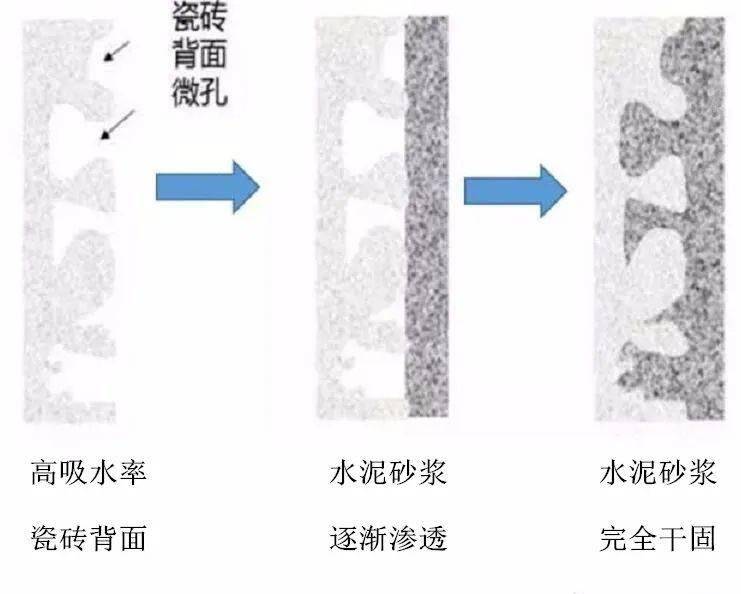 鞋刷是什么材质