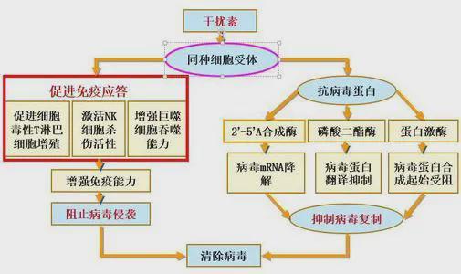 简述护色剂的作用机理