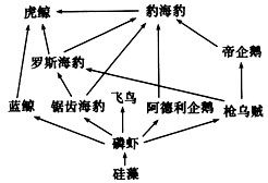 食物罩与服装厂用灯一样吗